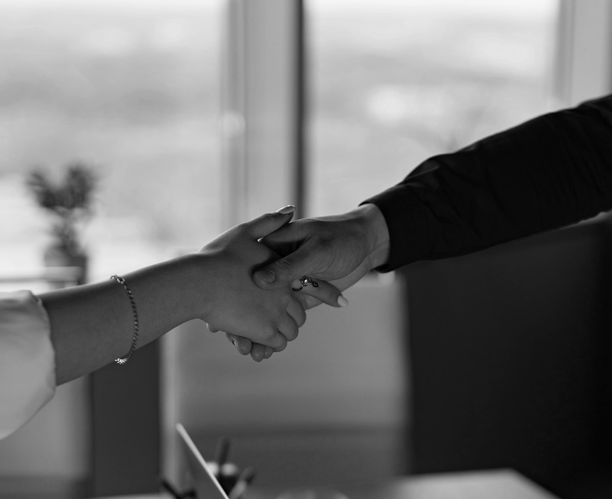 Brand Consulting